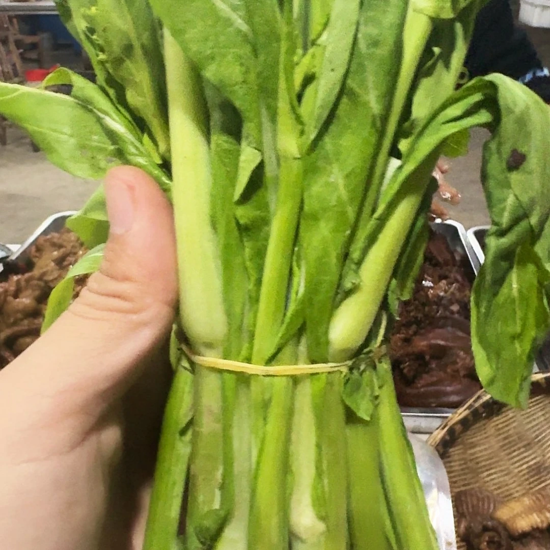 阿***理白菜中国大陆青菜