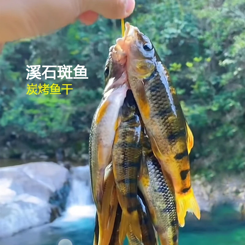 石斑鱼光唇干江西赣南烤干无盐淡水鱼山坑小鱼干去肚子干货烘干