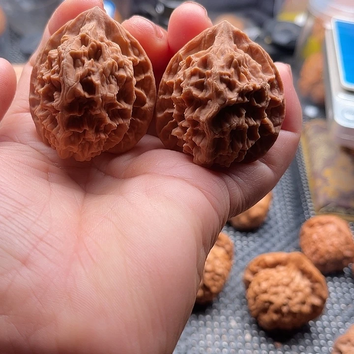 把件桃核全品龙鳞边41肚41