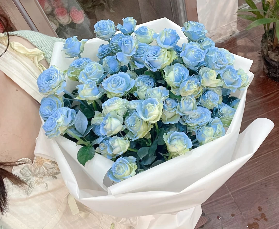 碎冰蓝--多头玫瑰（人工上色）