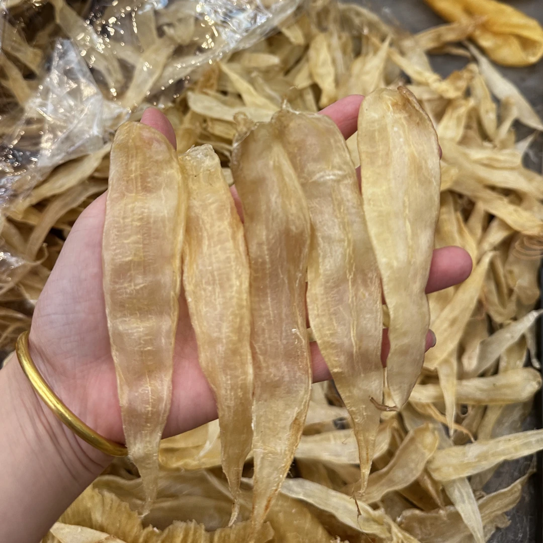 广东豆仁公胶大规格130头