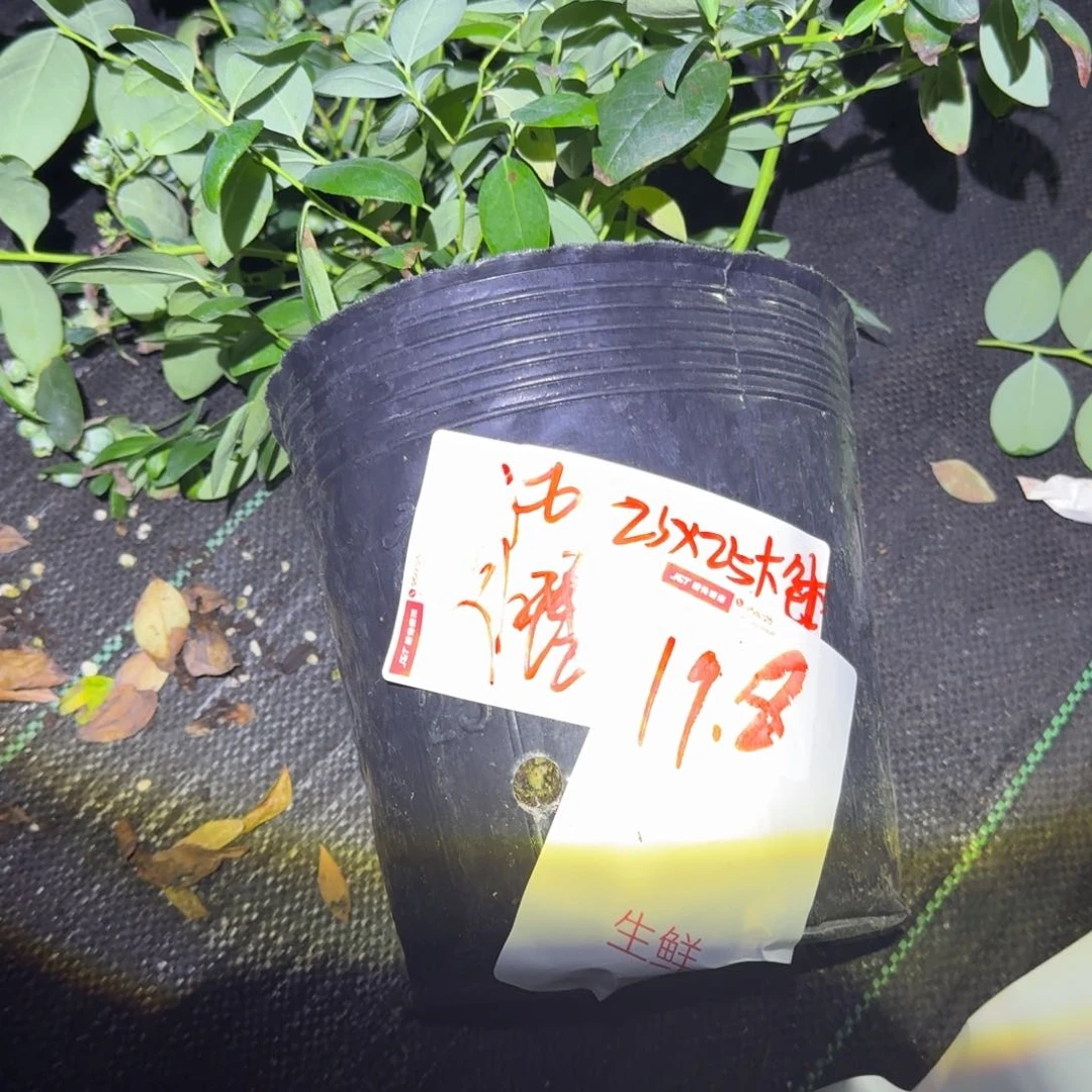 ?处理大钵f6一物一拍