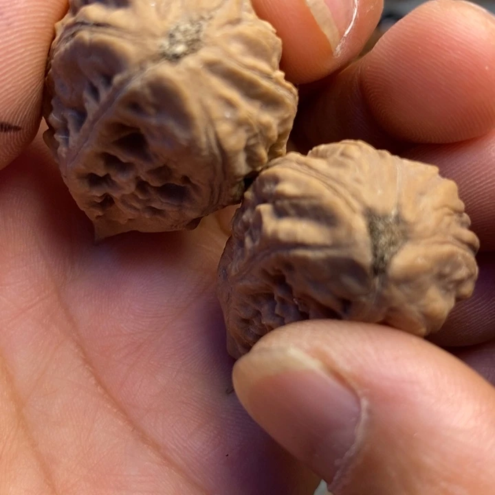 香榧木拿姐工艺流程207