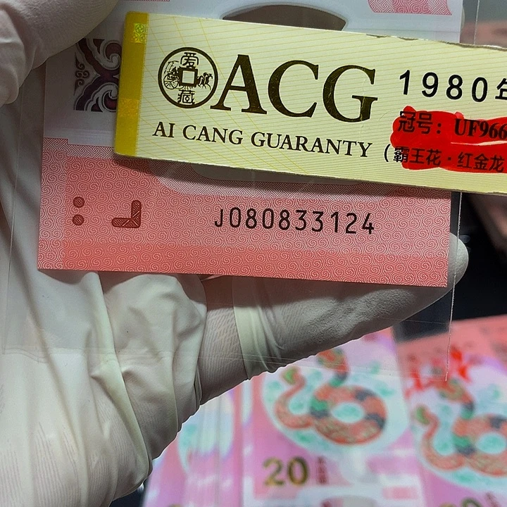 一张一张一张一张一张