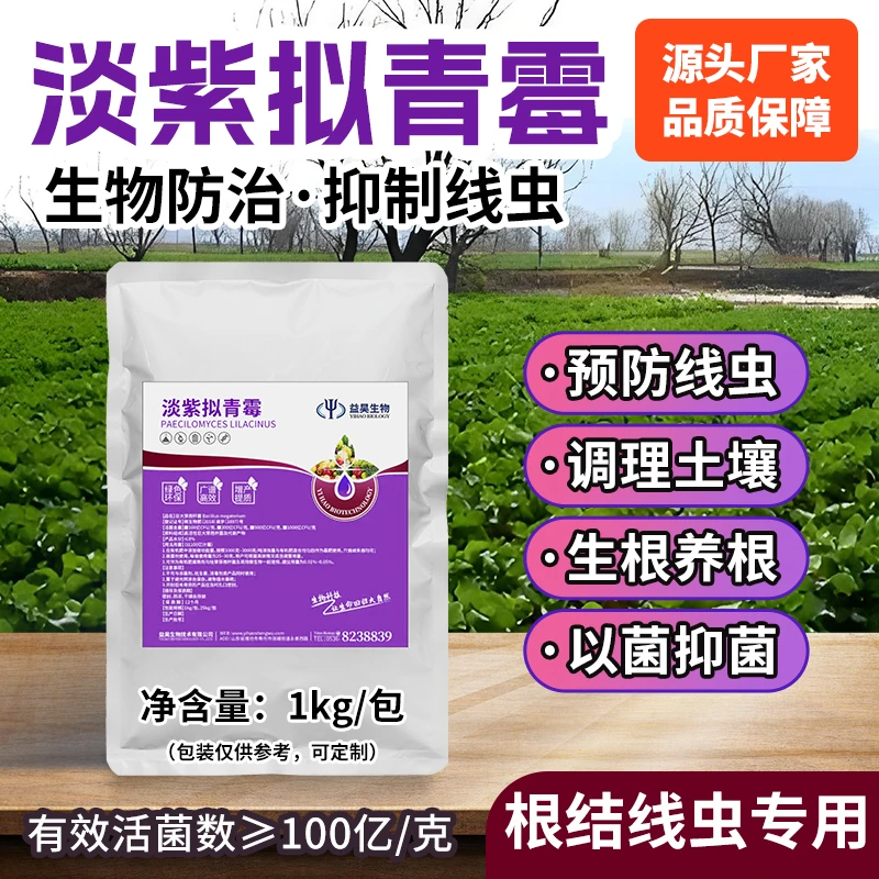 淡紫拟青霉菌生物防治根结线虫微生物菌肥菌剂蔬菜果树预防根线虫