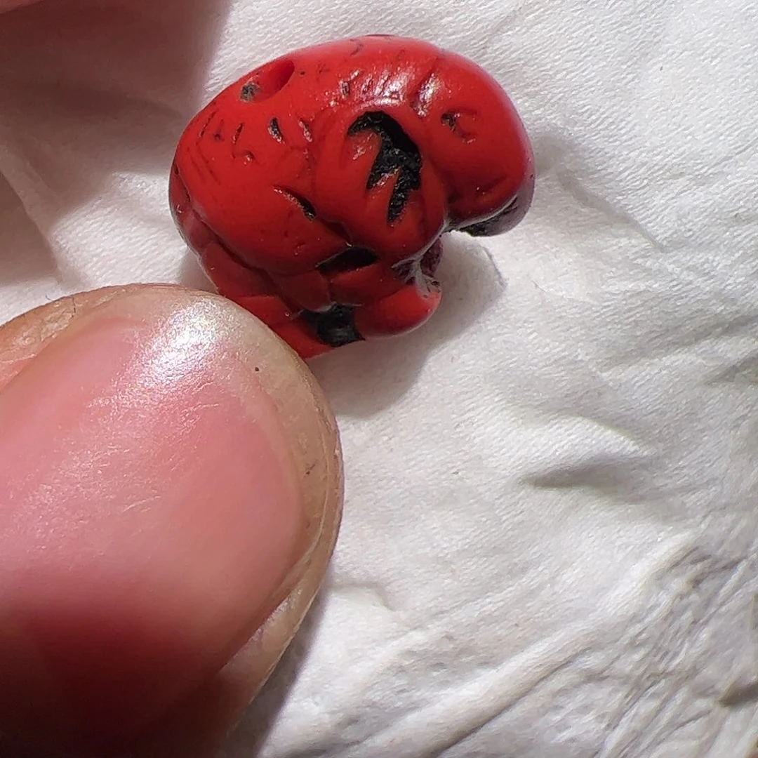 香榧木你的时候你