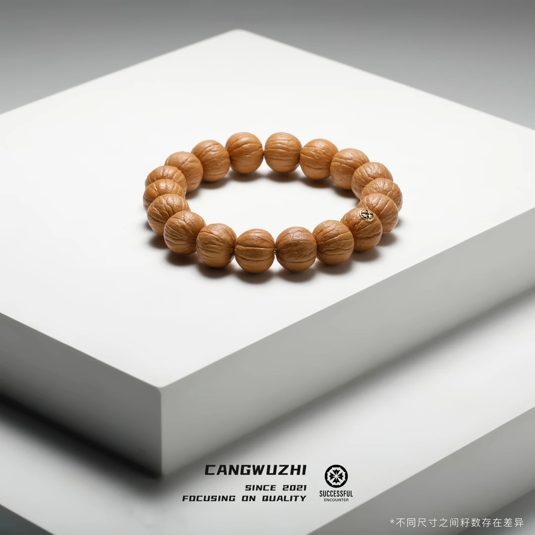 【藏物志】胜遇 原桩猴头 金标 手串