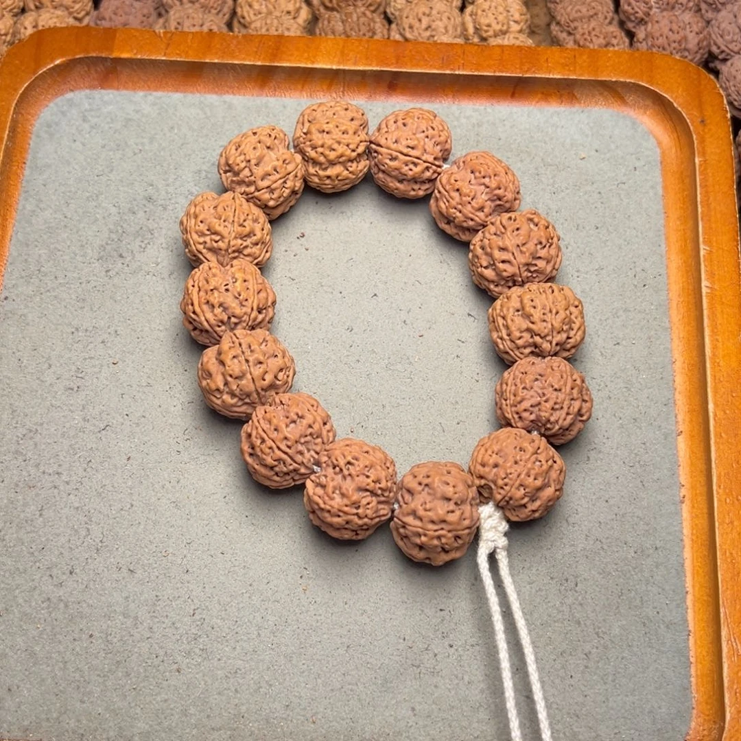 菩提17号金刚菩提梅花满肉23