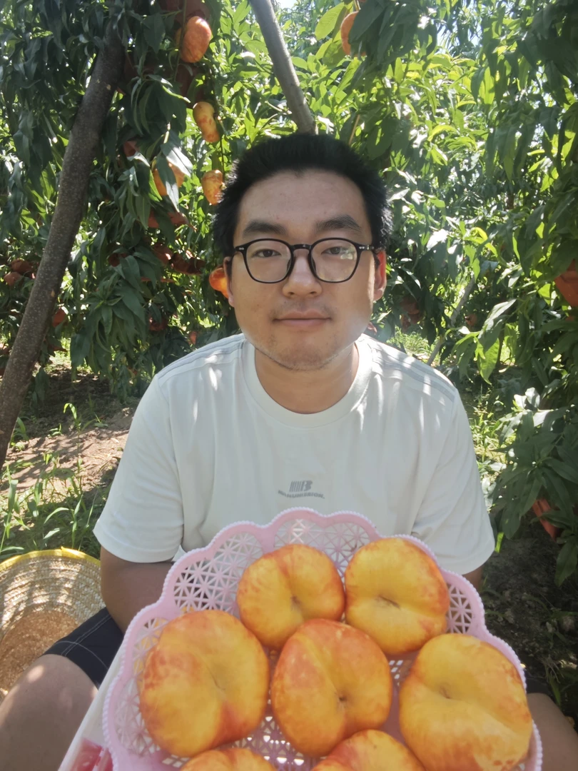 礼泉彩虹蟠桃多汁蜜甜现摘现发