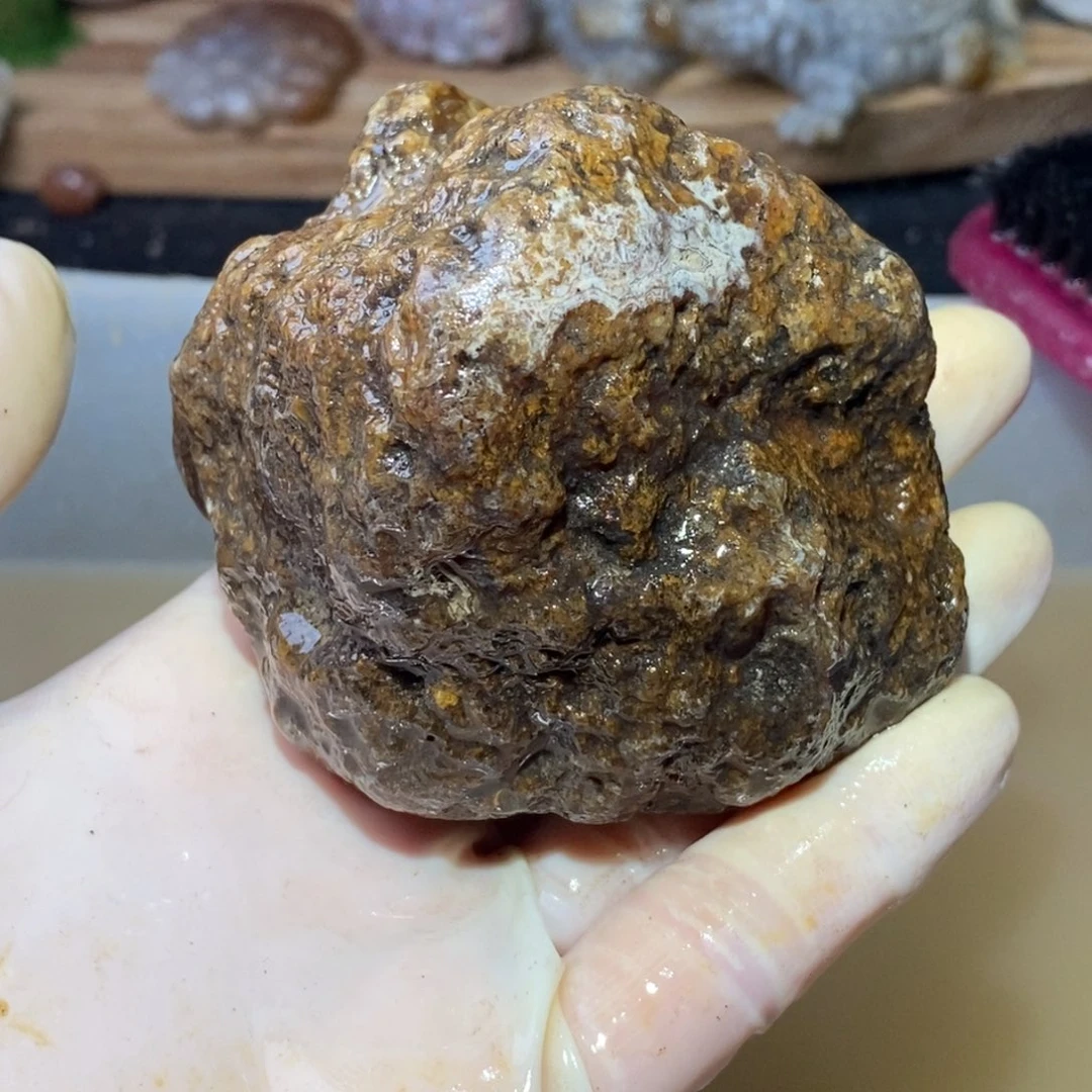 【闪购商品】硅化玉颈饰未镶嵌
