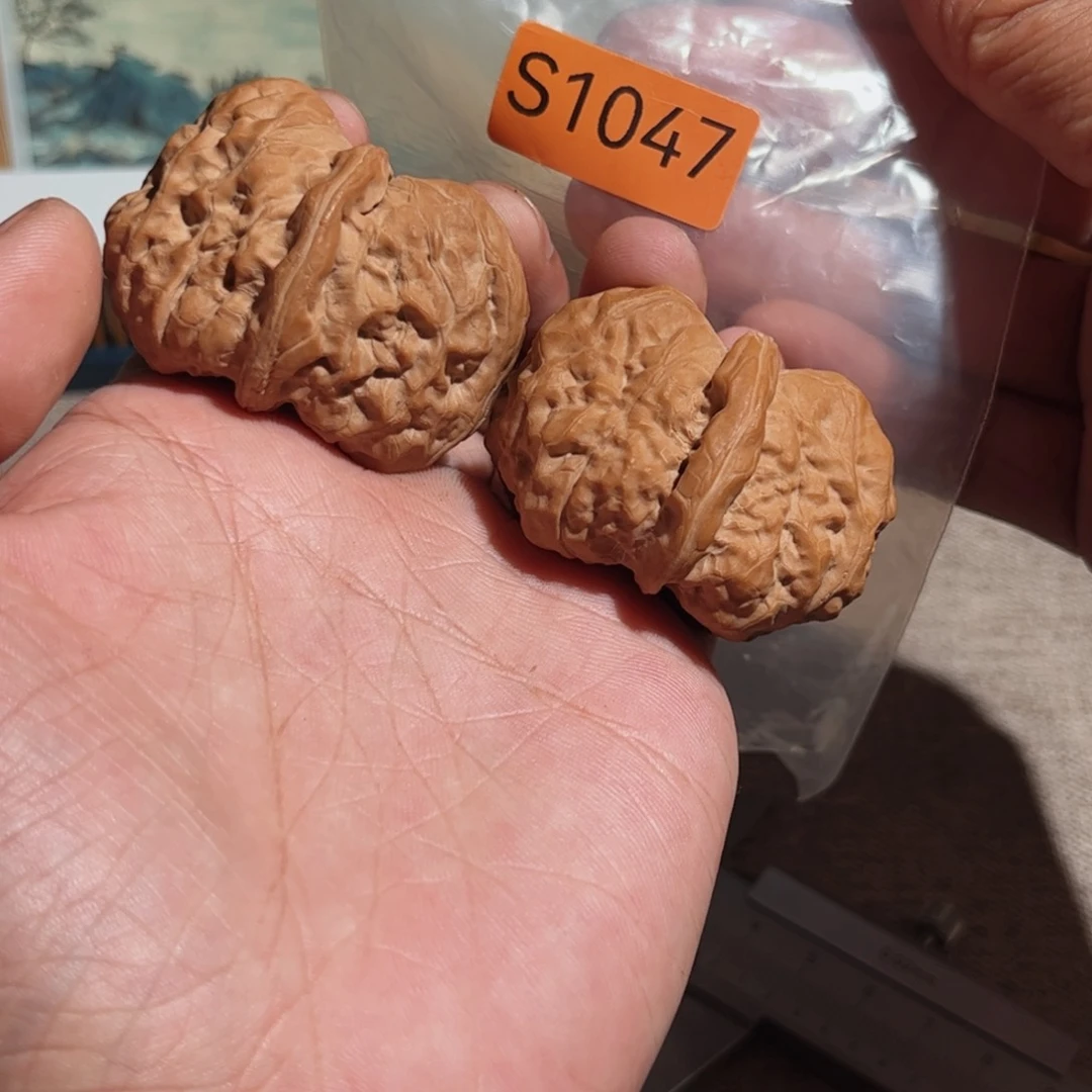 文玩核桃把件蛤蟆