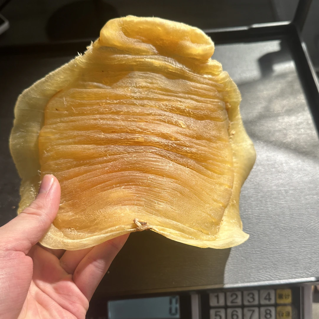 鱼胶花胶超精选正蜘蛛公(补差价用)