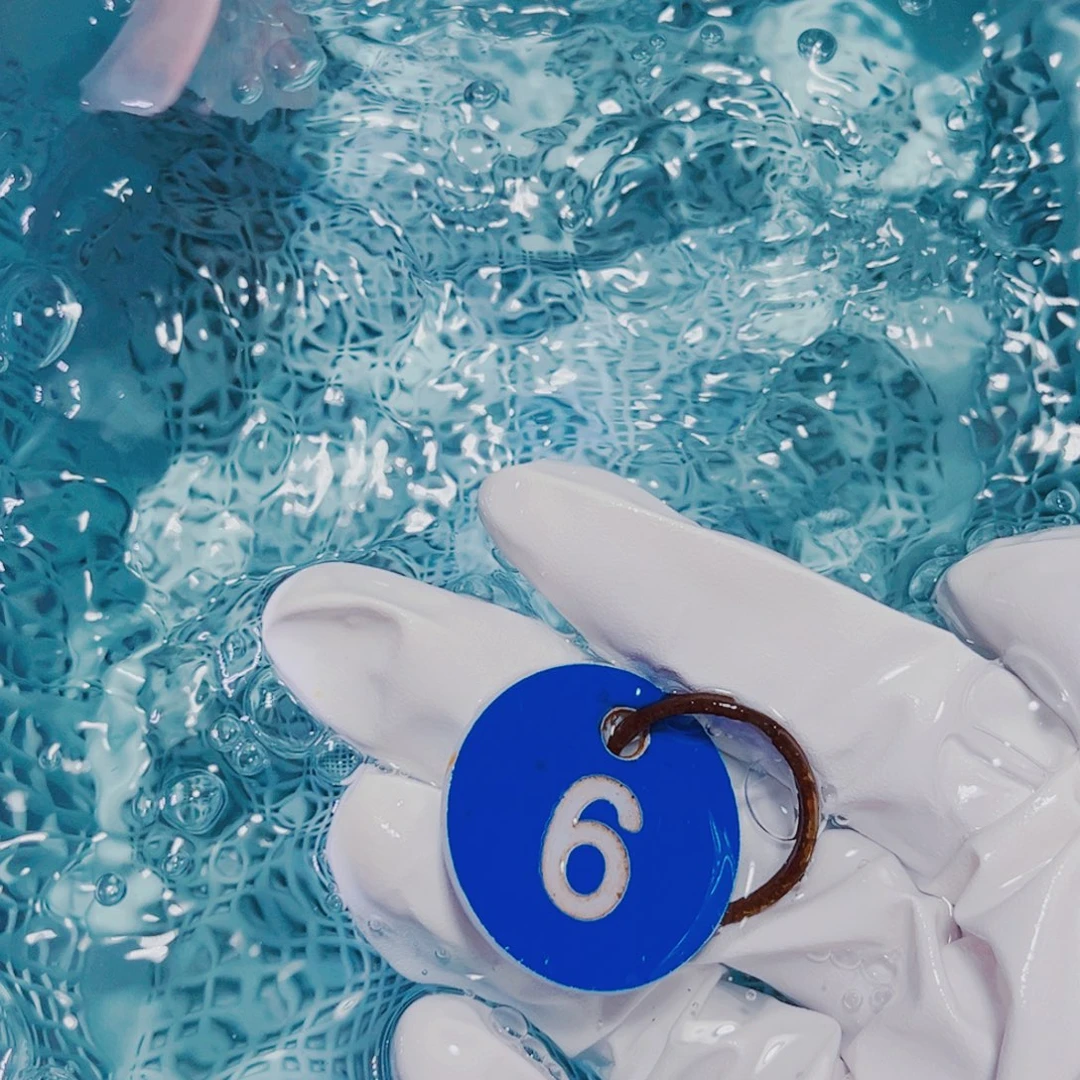 海水鱼锦鲤冷水观赏鱼6