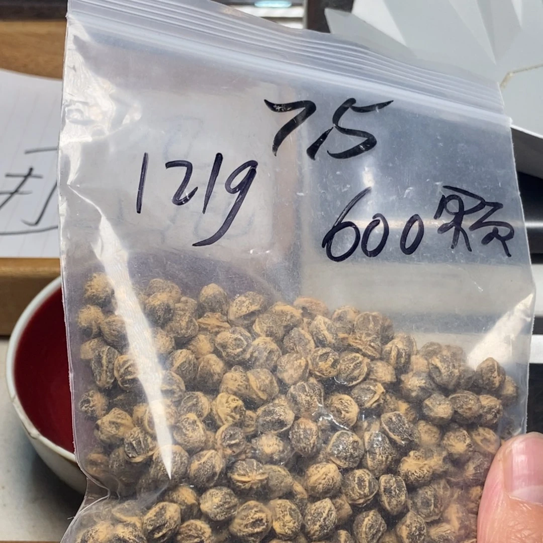 柏香籽/百香籽吊坠