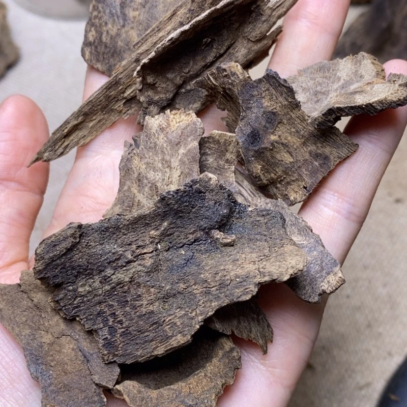 【闪购商品】香榧木碳化老包头10克