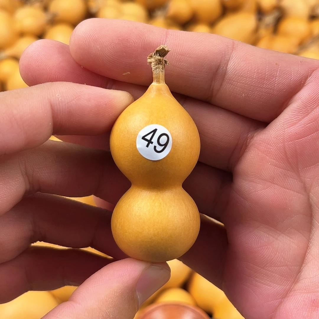 四葫芦葫芦葫芦葫芦49