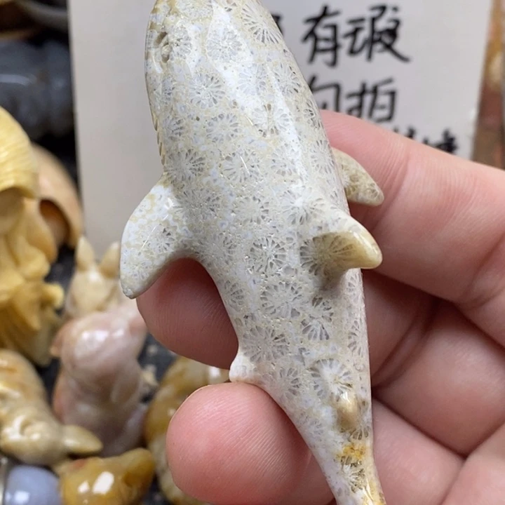 硅化珊瑚（珊瑚玉）未镶嵌颈饰有瑕