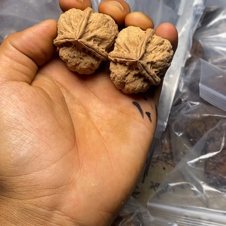 文玩核桃把件云南铁核桃23号
