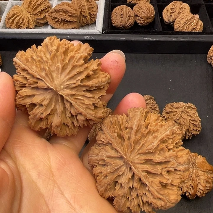 文玩核桃吊坠突突你了么笑的很