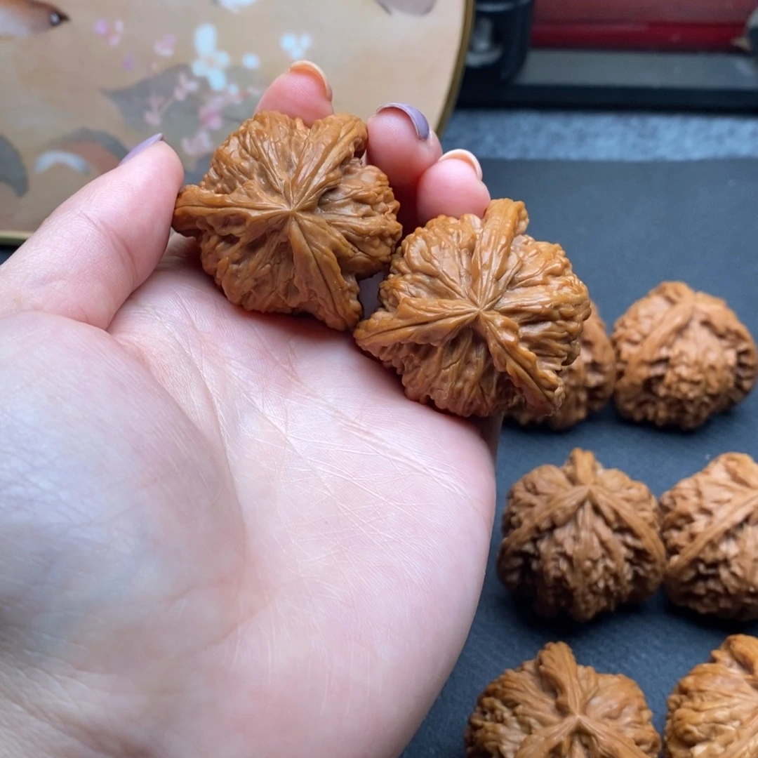 某*白狮子111111111111