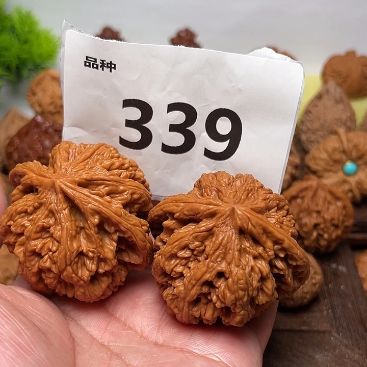 把件桃核全。大粗筋。边48。339