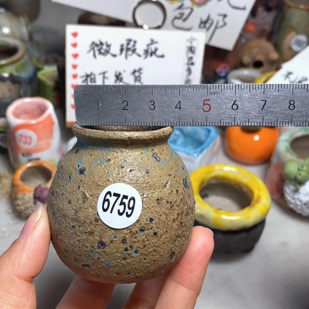 拍5送一个小礼物＇花盆