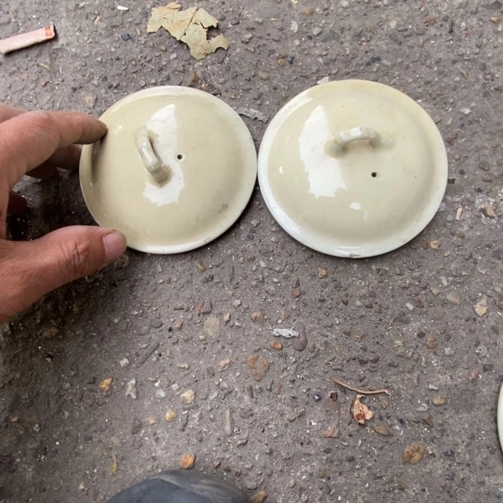 圣***虫景德镇瓷器景德镇瓷器