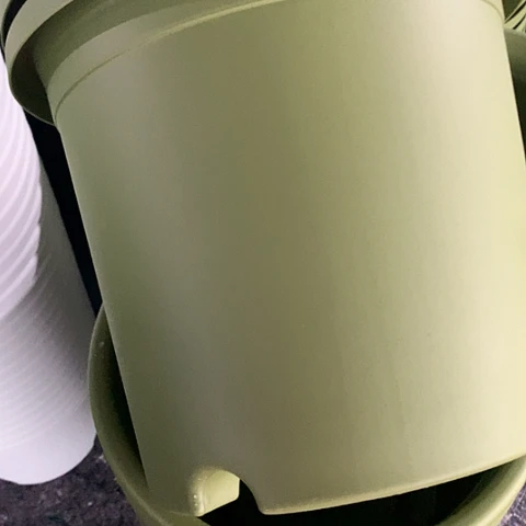 树脂5加果绿无托3个