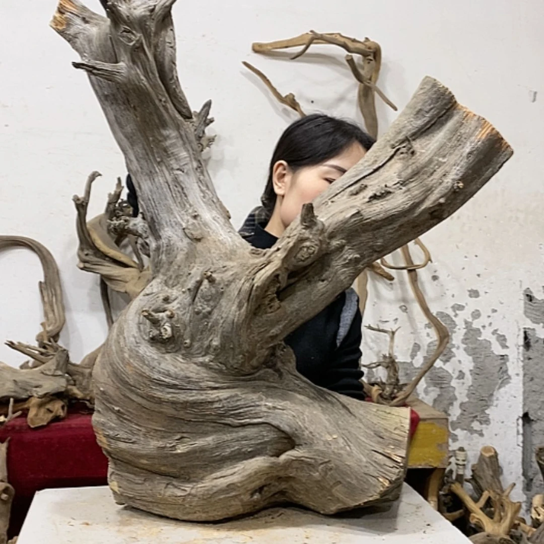 【闪购商品】柏木上****啦我们都是好孩子