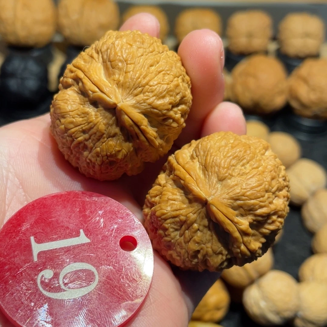 铁绣球核桃微彩38