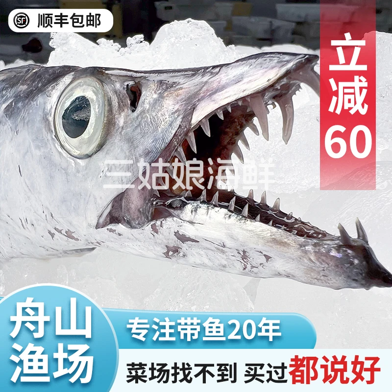 【中大号带鱼-开播专属福利】东海小眼睛带鱼-整条钓带-顺丰包邮