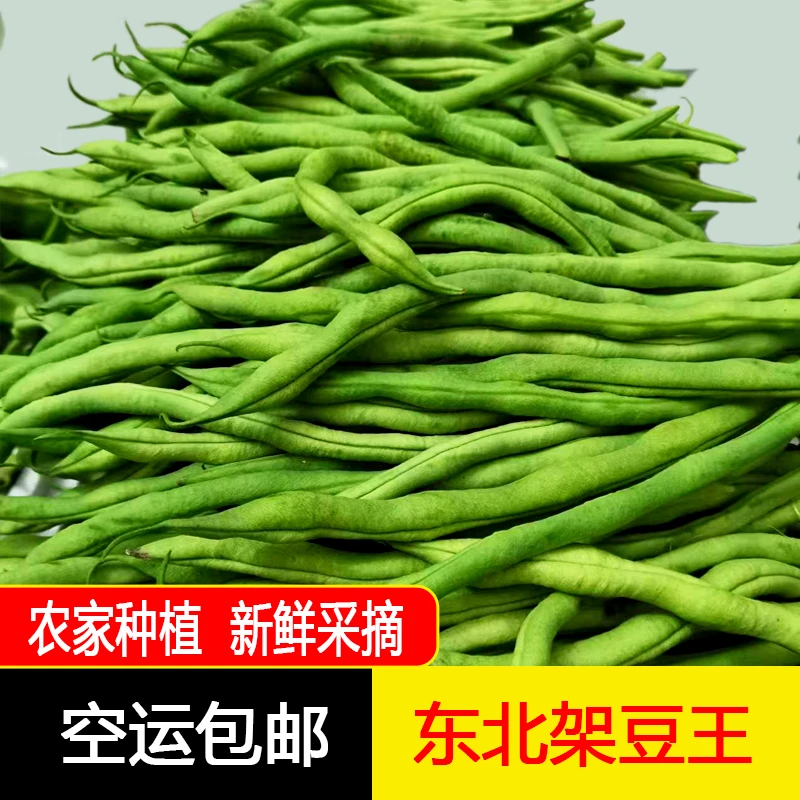 东北新鲜架豆王四季豆农家自种现摘绿色2/3斤空运包邮