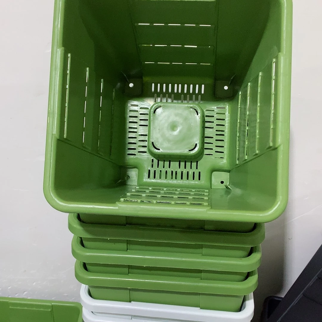 树脂方口19果绿5个带托