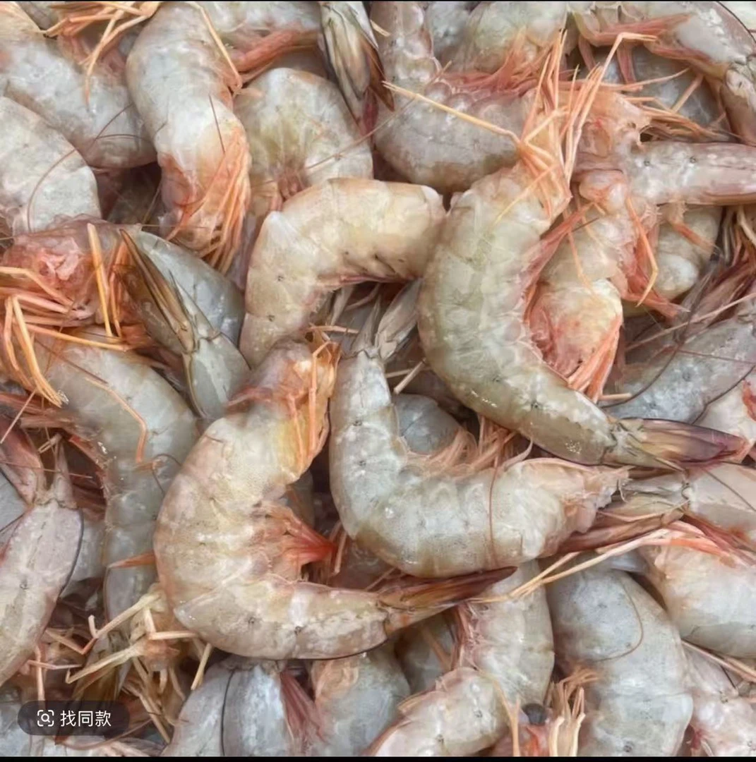 湛江新鲜去头白虾，白丁虾白刺虾    顺丰包邮！