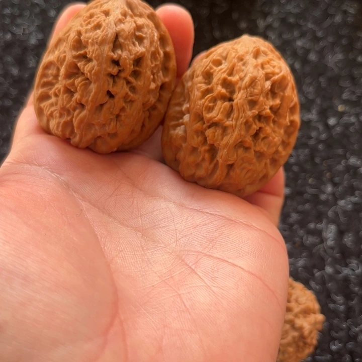 大叶紫檀（黑酸枝木类）将军膀