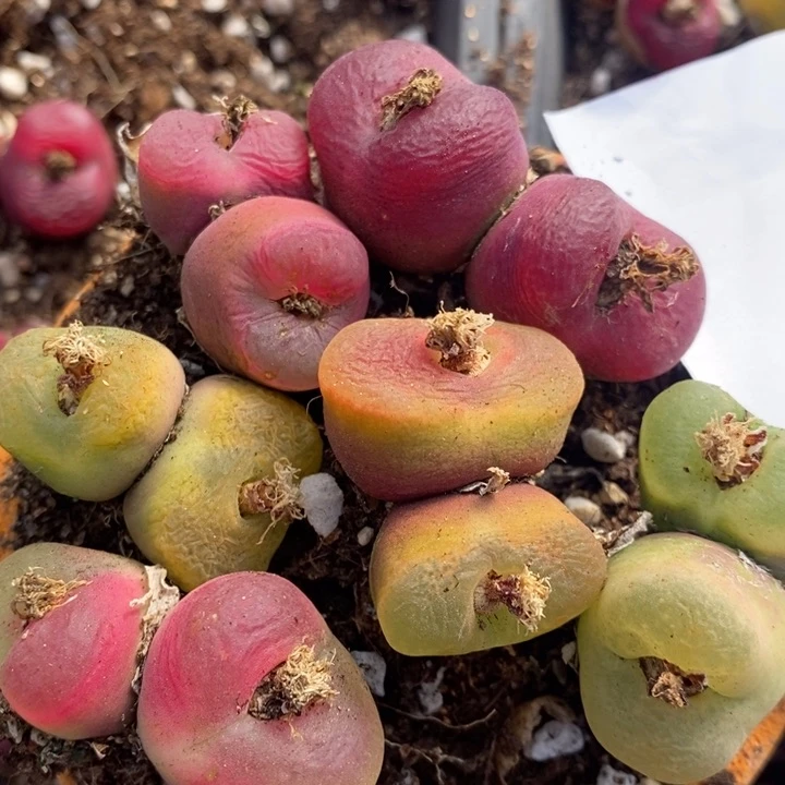 2769一组一组一组