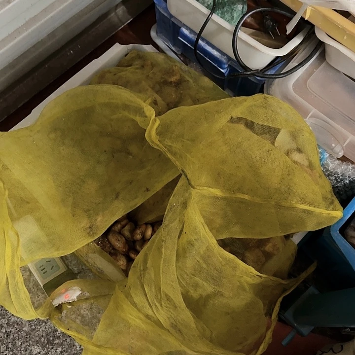 寿山石竹**）寿山石的故事