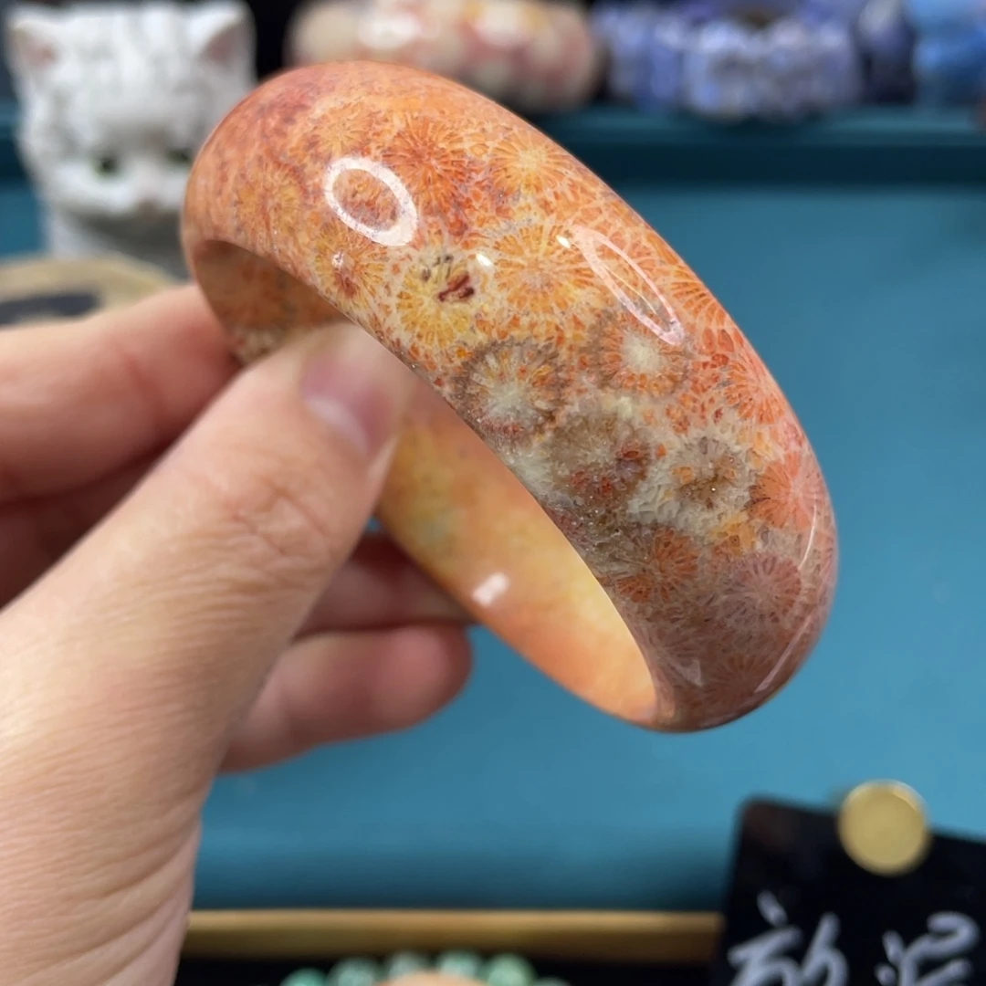 未镶嵌手镯硅化玉