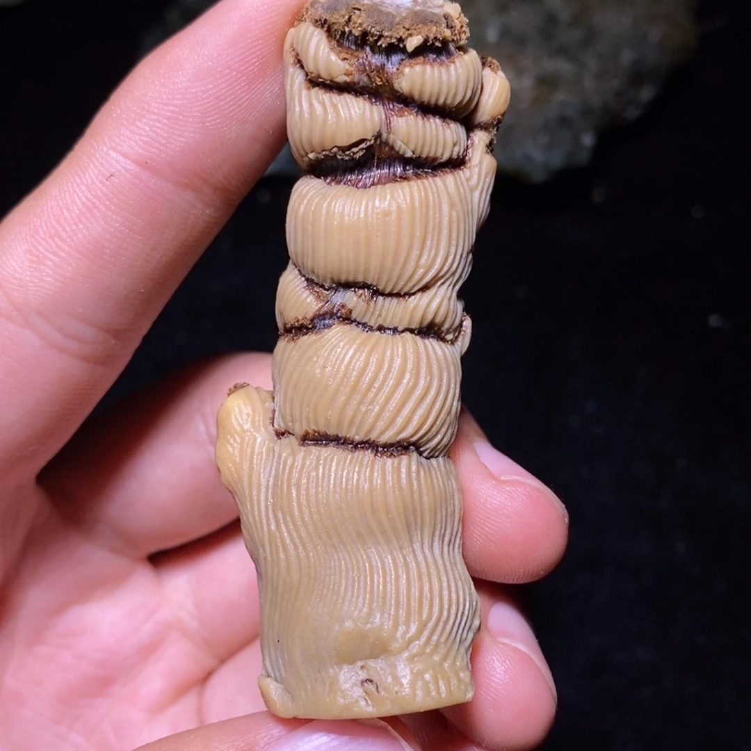 石材阿拉善石头天然