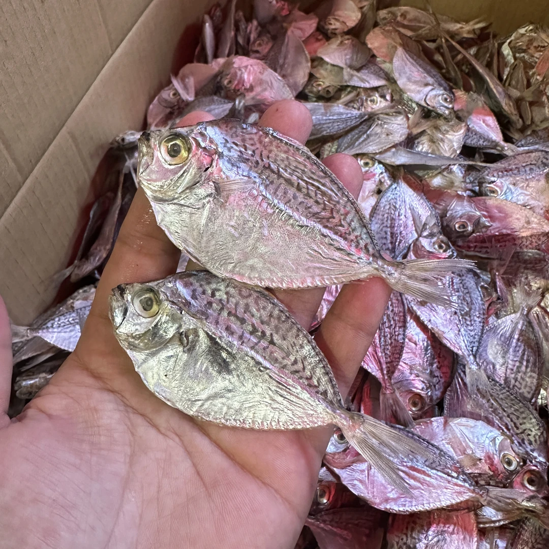 汕尾马宫本港金钱花脯（九梗脯）点酸甜辣椒配粥配饭