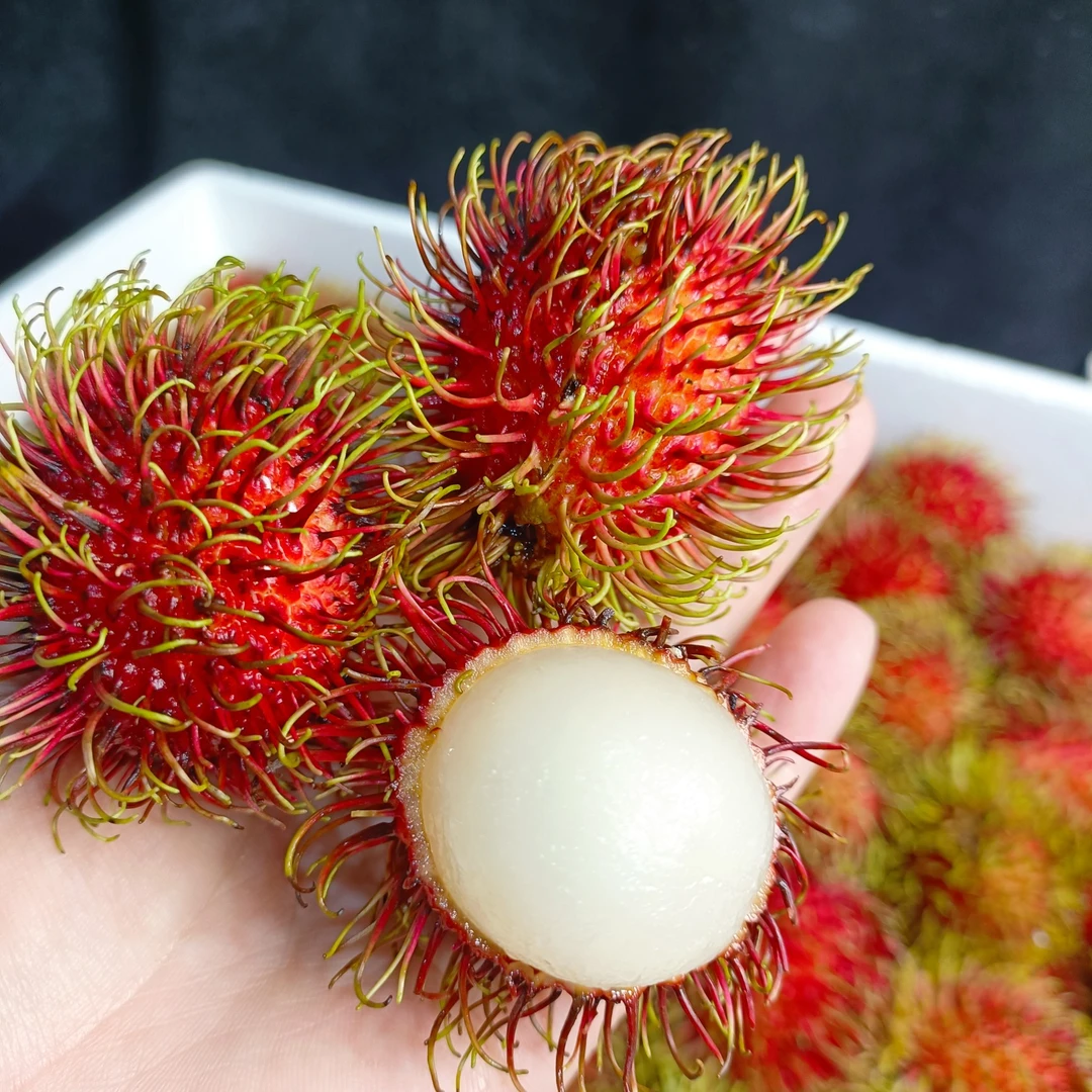 红毛丹《坏果包赔》