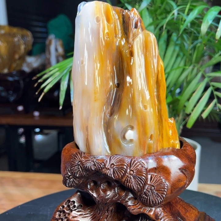 硅化玉（树化玉）未镶嵌珠宝奇石