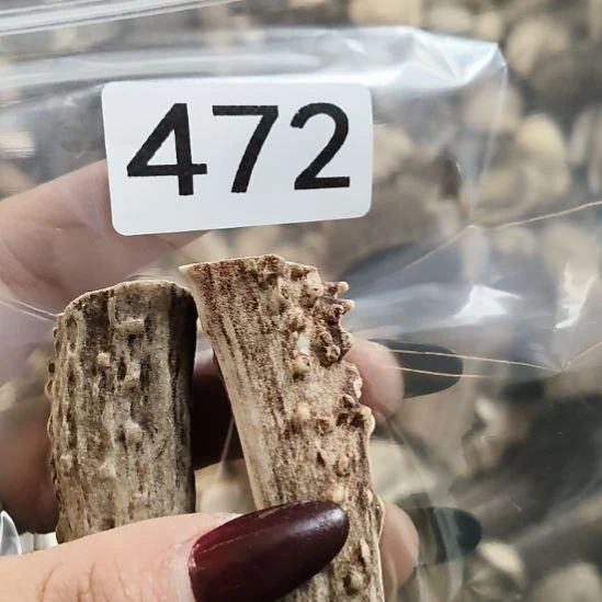 博***览鹿角鹿角鹿角鹿角鹿角鹿角