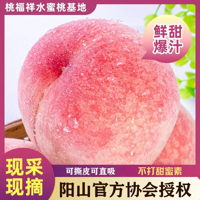 阳山正宗优质水蜜桃新鲜多汁皮薄软桃果园采摘美味【5-6两】