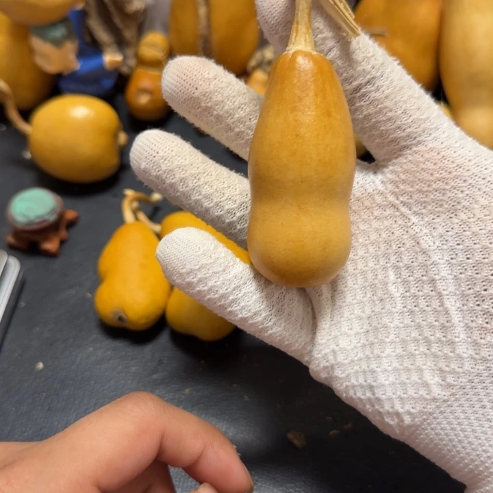 1***道66…………………………………………