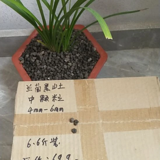 哥****兰菌黑山土中颗粒6.9斤