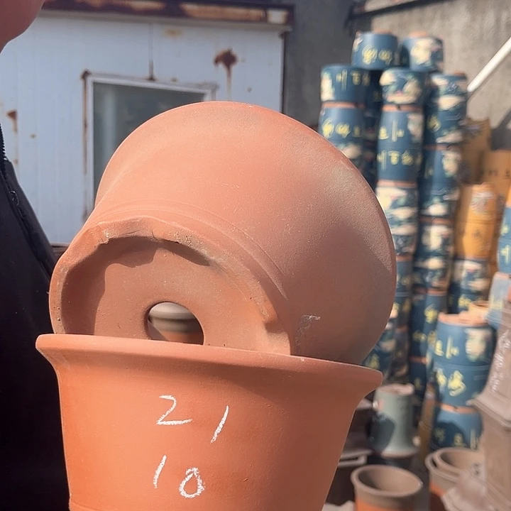 紫砂紫砂花盆盆栽