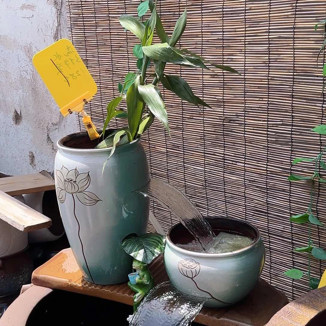 粗陶荷花莲藕组合23w水泵礼包48流水板