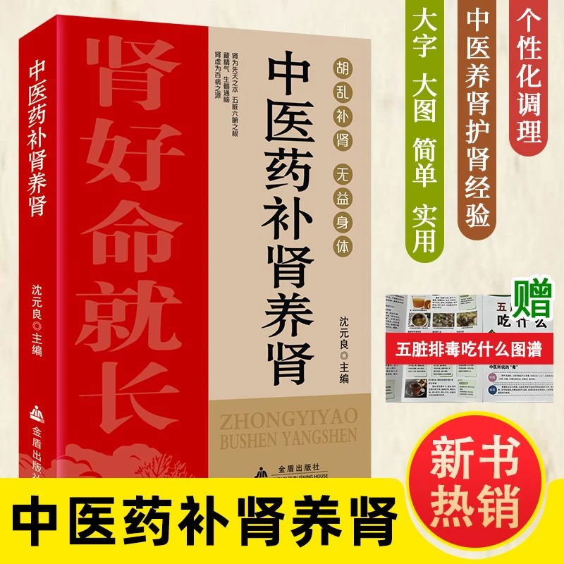 中医药补肾养肾看这本就够了食疗食补保健食谱方法大全健康书籍
