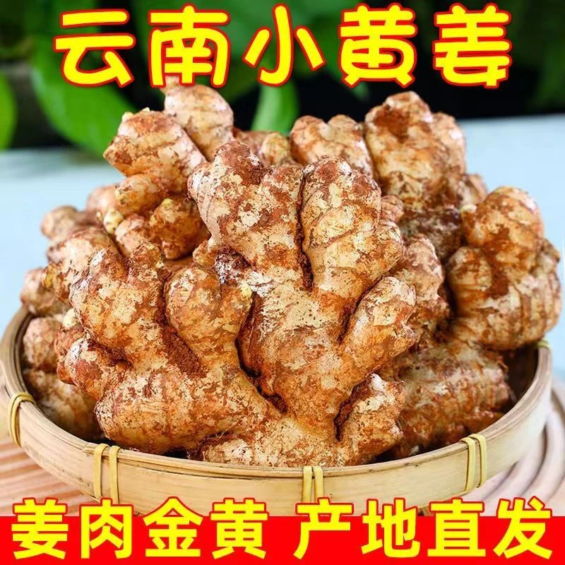 云南山地小黄姜姜肉金黄产地直发